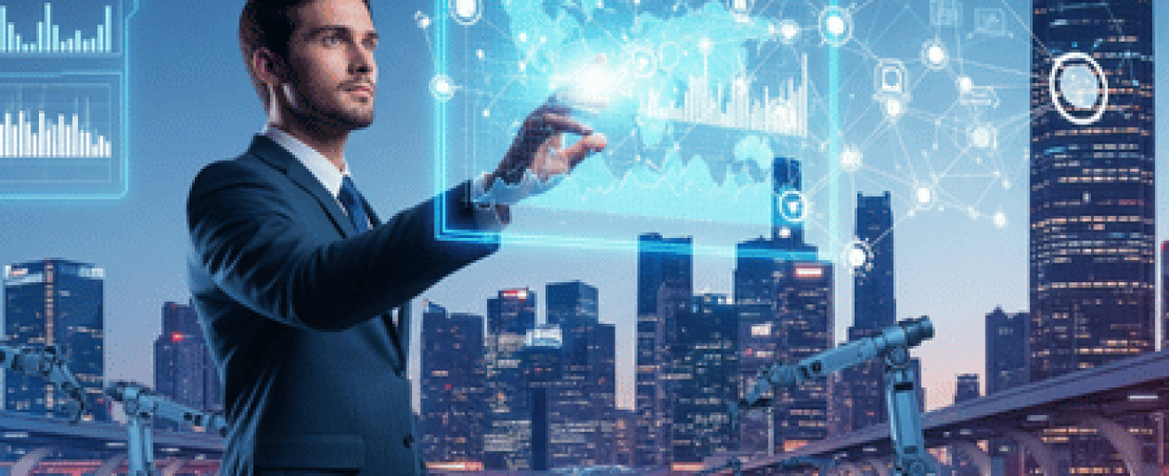 Technology Consulting &amp; Digital Transformation